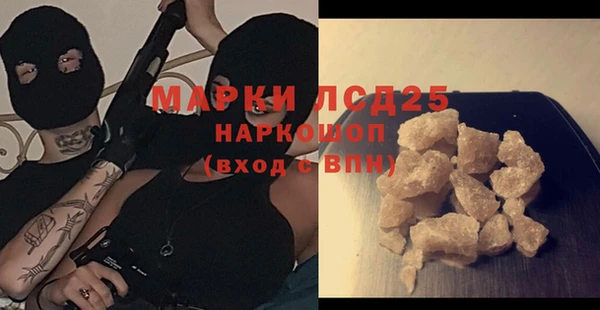 шишки Ельня