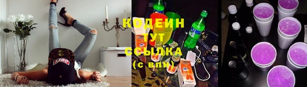 шишки Ельня
