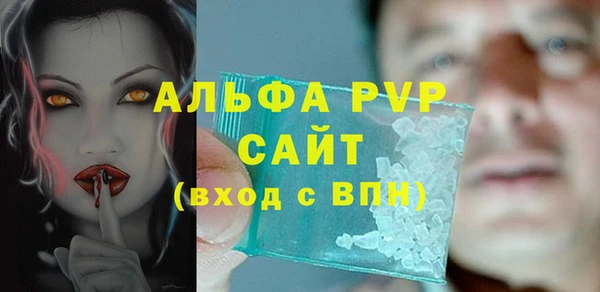 стаф Дмитровск