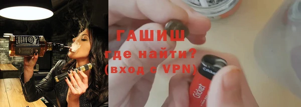 шишки Ельня