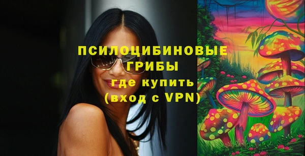 мет Дмитриев