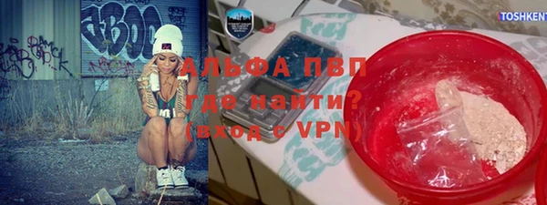 шишки Ельня