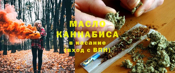 шишки Ельня