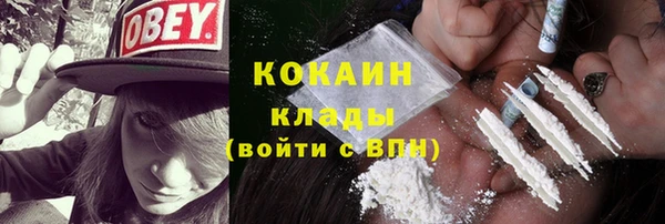 стаф Дмитровск