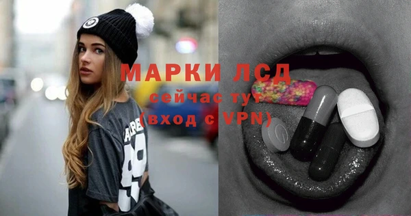 стаф Дмитровск